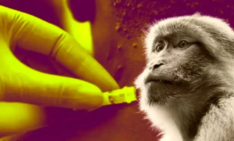 El país registra 13 casos de viruela de mono