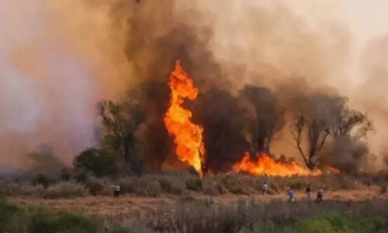 Cuatro incendios activos en las provincias de Entre Ríos y Buenos Aires