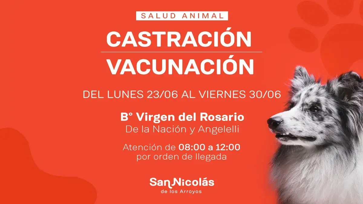 castración y vacunación para mascotas