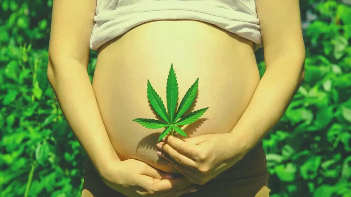 Riesgos del consumo de marihuana durante el embarazo