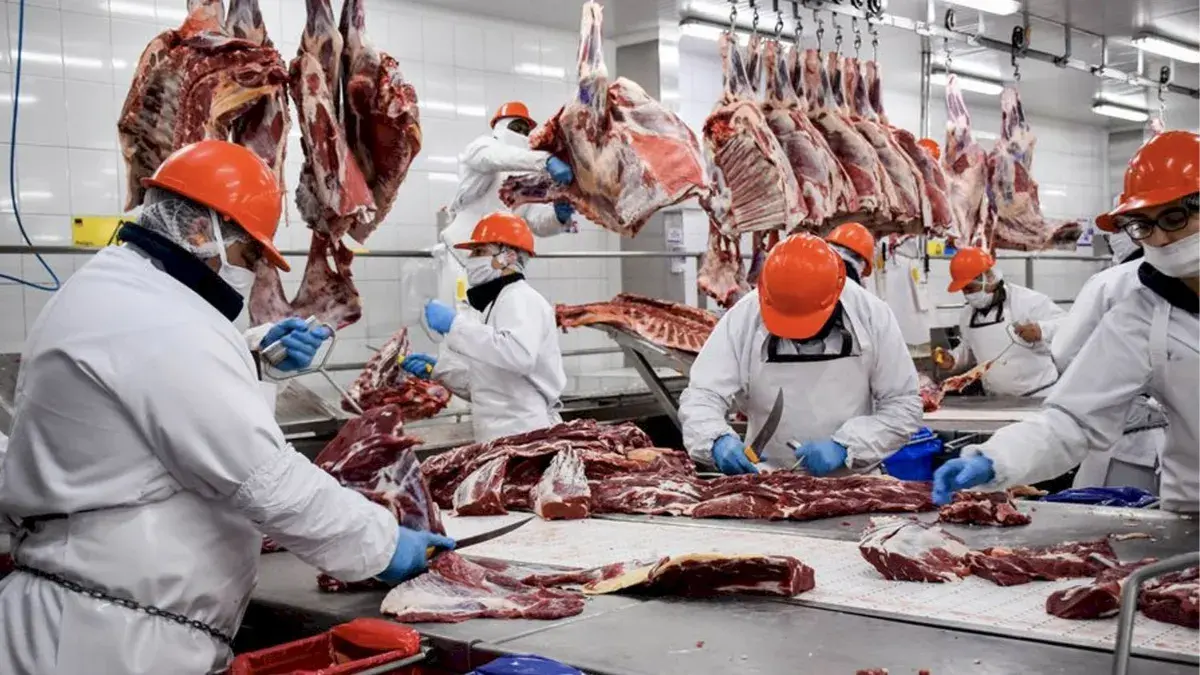 gobierno exportación de carne